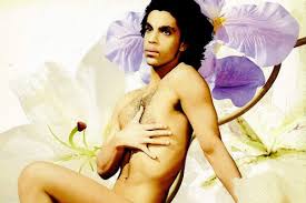 Prince-love-sexy MojoRama